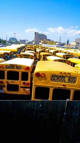 Thorsten Wulff | Photography