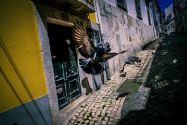 Thorsten Wulff | Photography