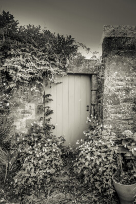 Thorsten Wulff | Photography